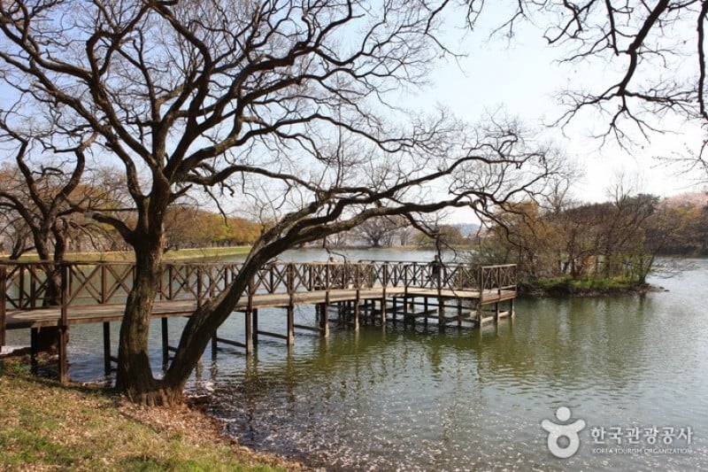 鎮海內水面環境生態公園