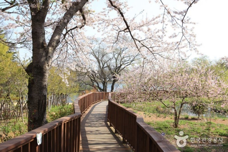 鎮海內水面環境生態公園