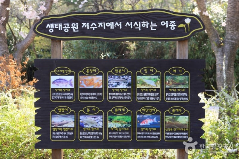 鎮海內水面環境生態公園