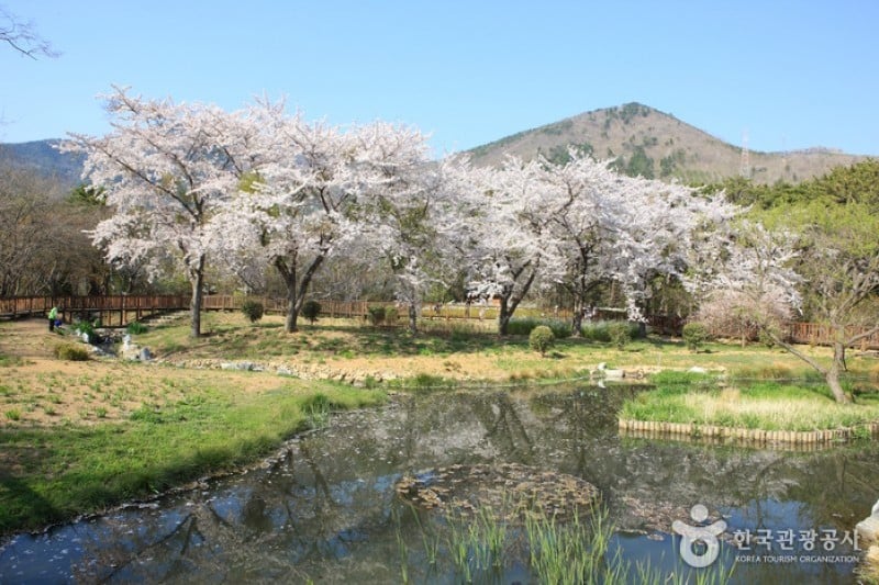 鎮海內水面環境生態公園