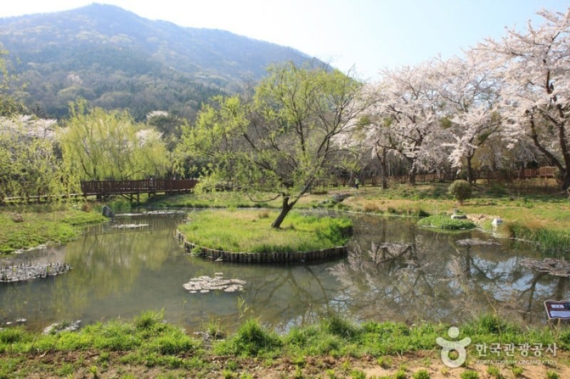 鎮海內水面環境生態公園
