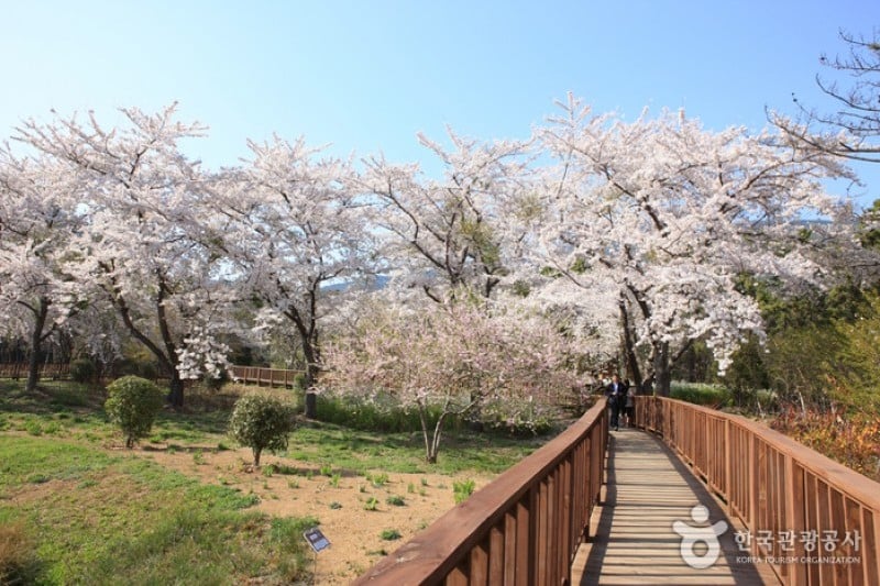 鎮海內水面環境生態公園