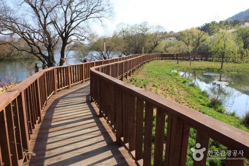 鎮海內水面環境生態公園