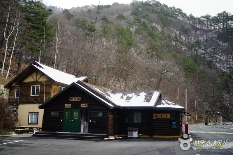 米川谷自然休養林  (8/12)