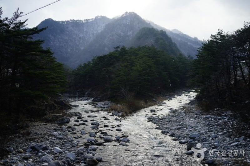 米川谷自然休養林  (12/12)