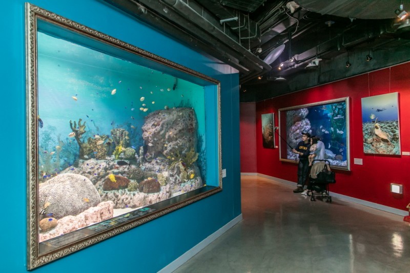 COEX水族館 (5/8)