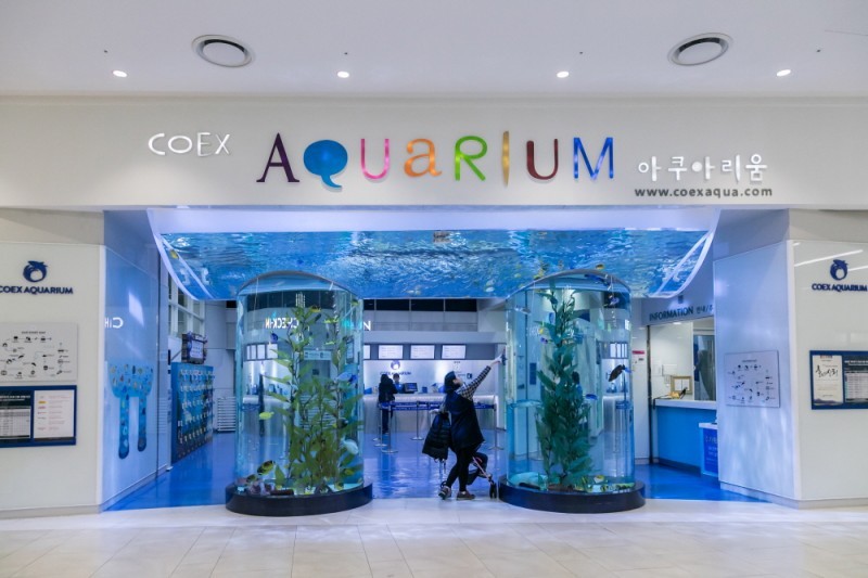 COEX水族館 (6/8)