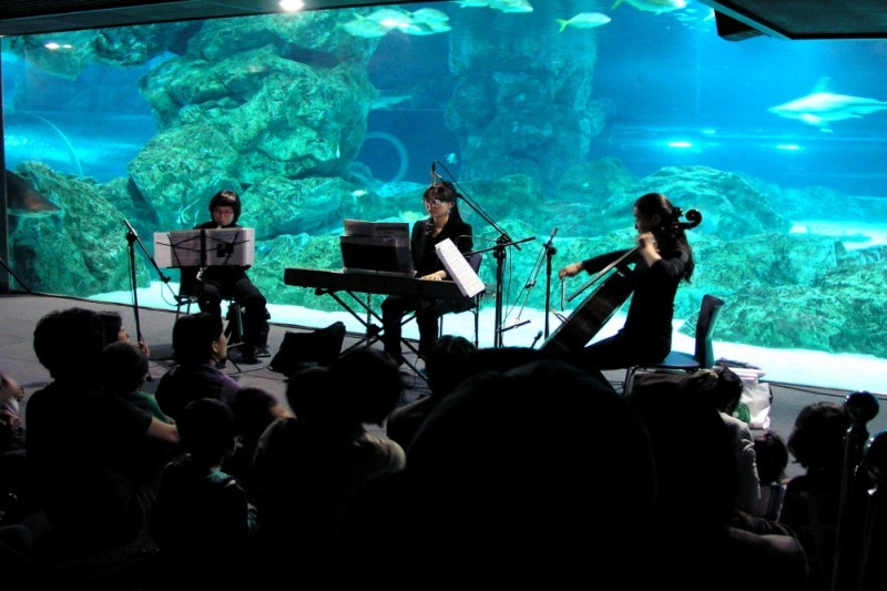 COEX水族館 (7/8)