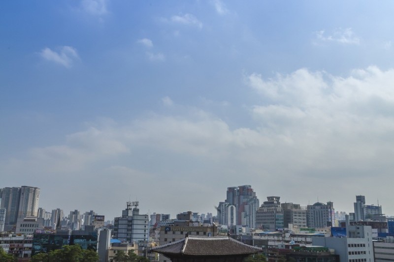 東大門(興仁之門) (11/14)