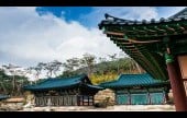 津寬寺
