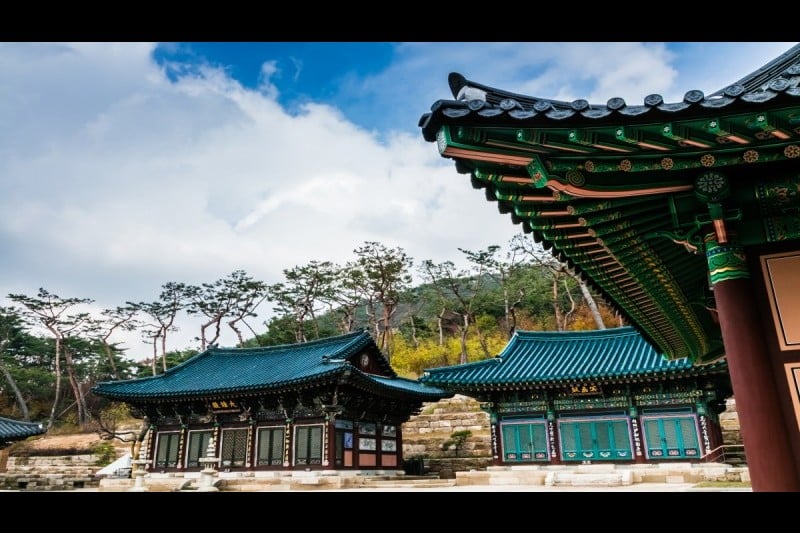 津寬寺 (10/11)