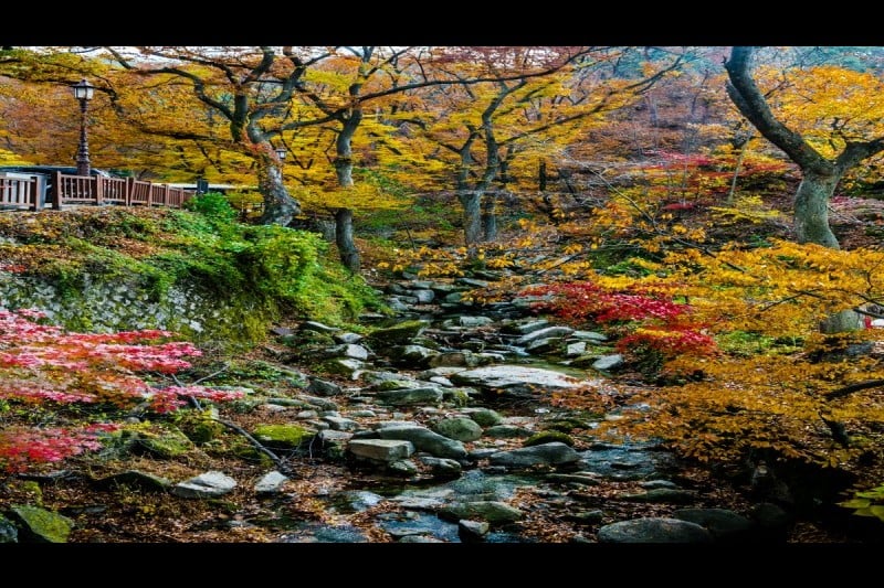 津寬寺 (11/11)