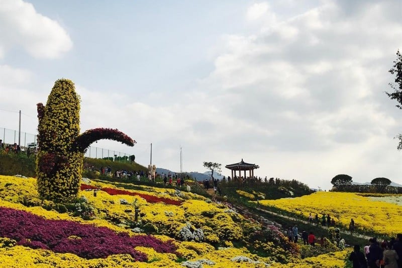 南山公園(首爾) (19/29)