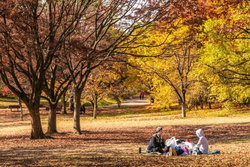 奧林匹克公園 (14/14)