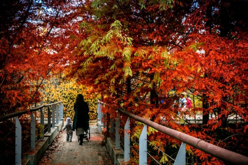 仙遊島公園 (21/28)