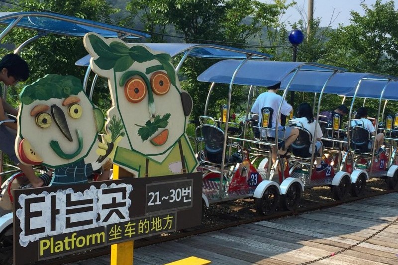 楊平鐵路自行車 (13/14)