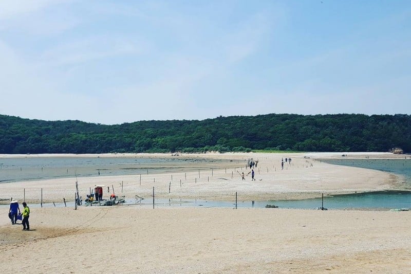 電影《實尾島》外景地영화 [실미도] 촬영지 (3/5)