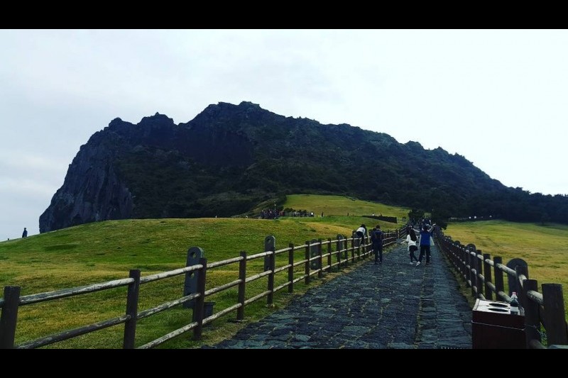 城山日出峰[聯合國指定世界自然遺產] (29/31)
