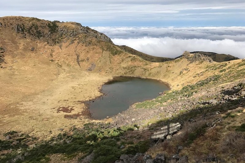 漢拿山國立公園[聯合國教科文組織世界自然遺產] (12/19)