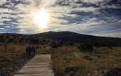 漢拿山國立公園[聯合國教科文組織世界自然遺產]