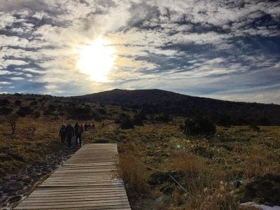漢拿山國立公園[聯合國教科文組織世界自然遺產]