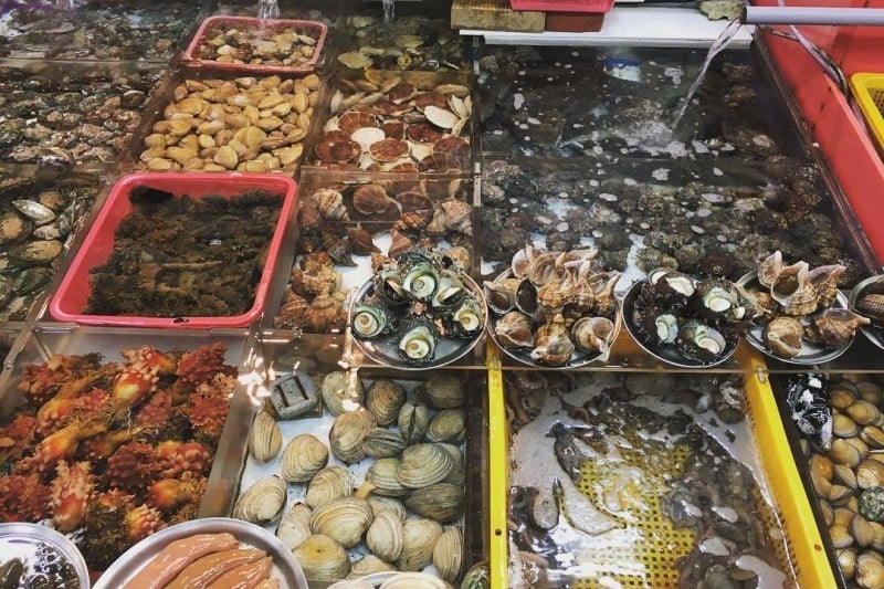 劄嘎其市場 (21/25)