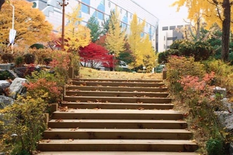 首爾大學[Seoul National University]