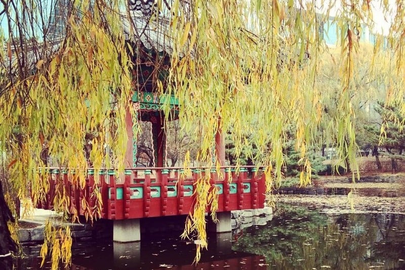 汝矣島公園 (21/30)
