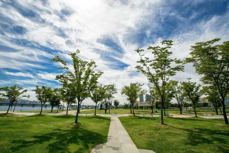 汝矣島公園 (30/30)