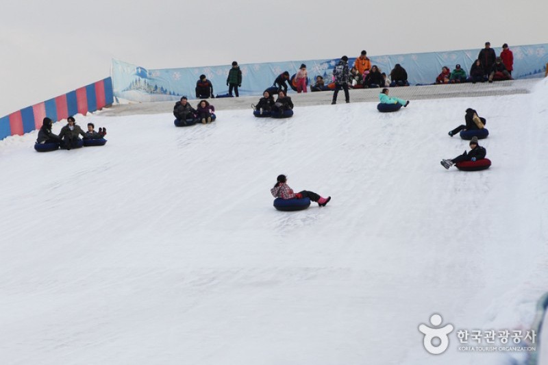 漢江公園纛島雪橇場 (5/15)
