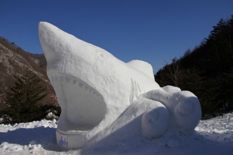 太白山雪花節 (2/11)