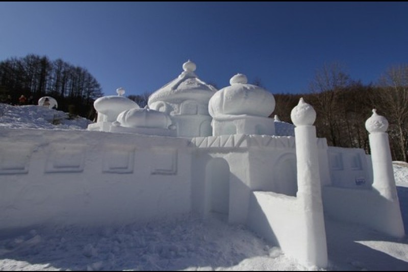 太白山雪花節 (11/11)