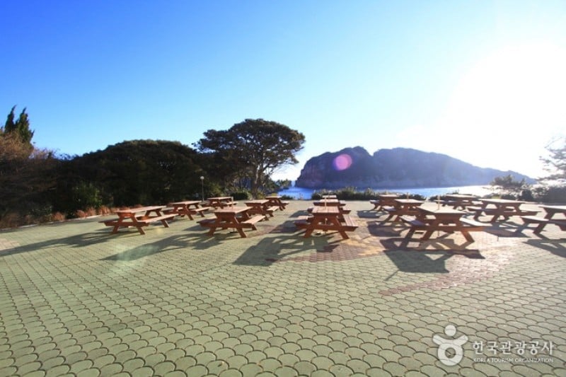 海金剛飯店 (4/5)