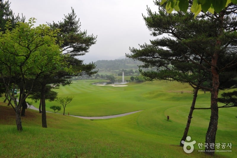 伊利希安江村高爾夫俱樂部 (6/7)