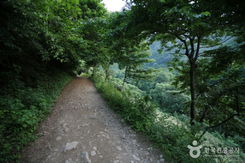 智異山國立公園 (5/7)