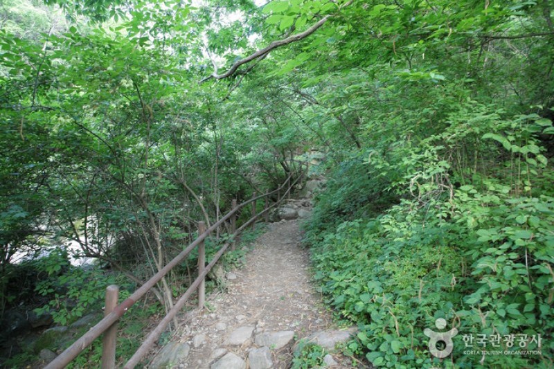 智異山國立公園 (6/7)