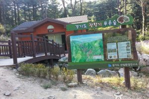 松香綠林