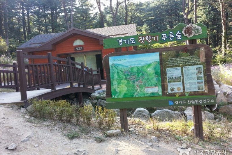 松香綠林 (2/6)
