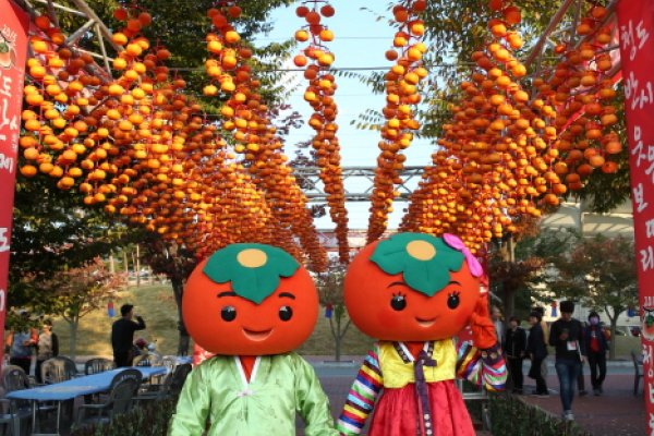 清道紅柿節