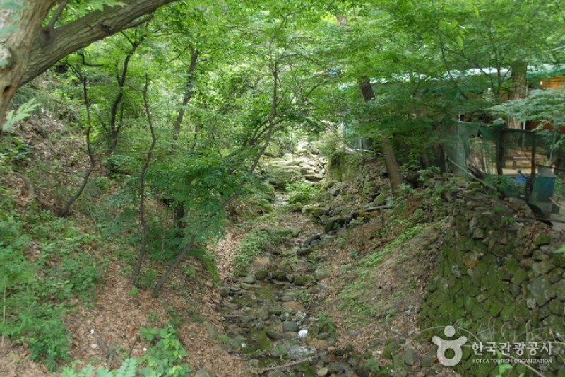 寶文山公園 (4/26)