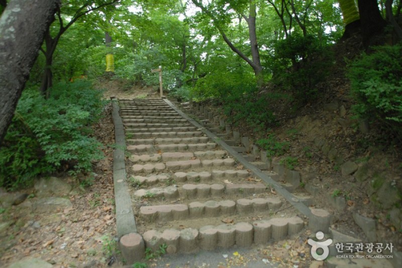 寶文山公園 (6/26)