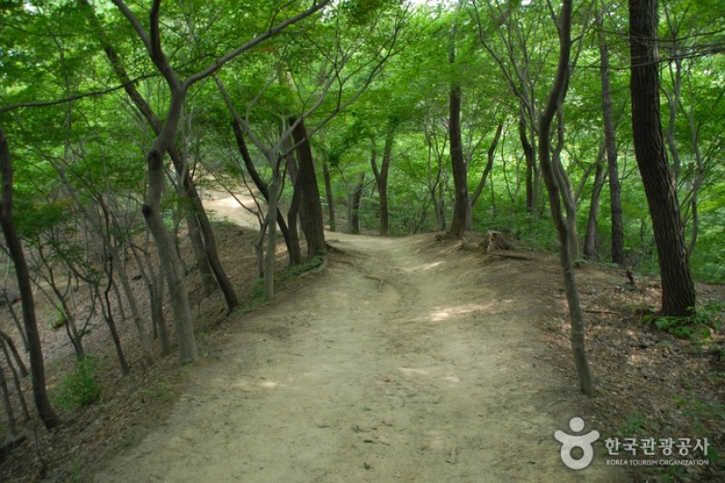 寶文山公園 (7/26)