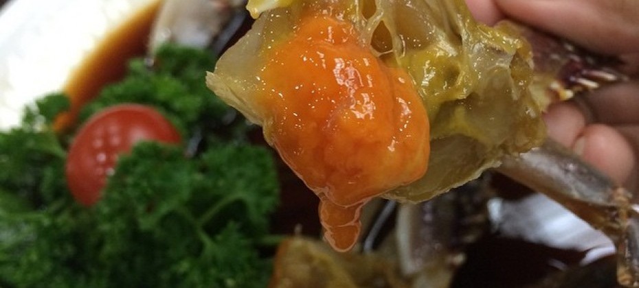 鹹草醬油腌蟹(鹹草醬蟹) (2/9)