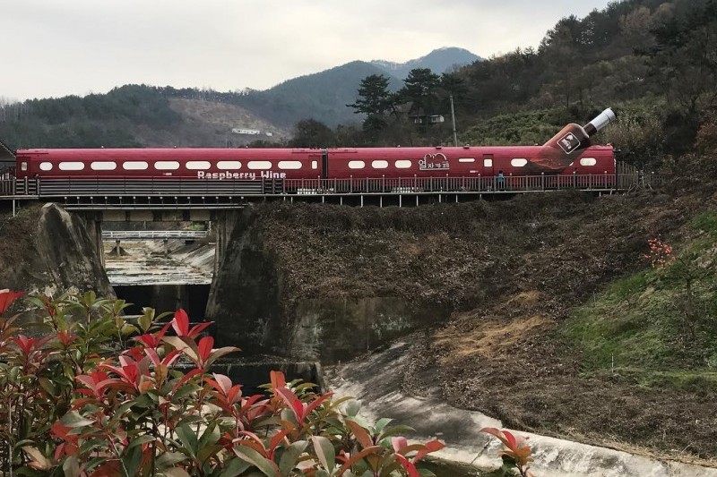 清道柿子酒隧道 (22/24)