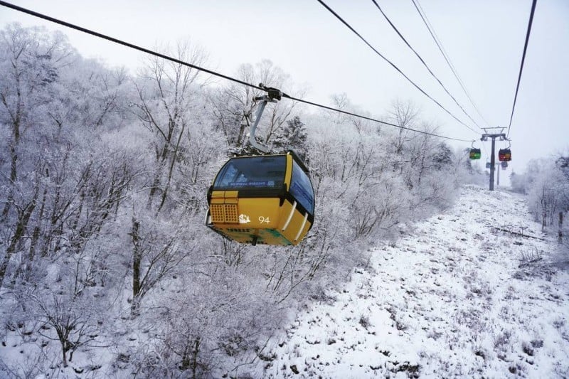 龍平滑雪渡假村
