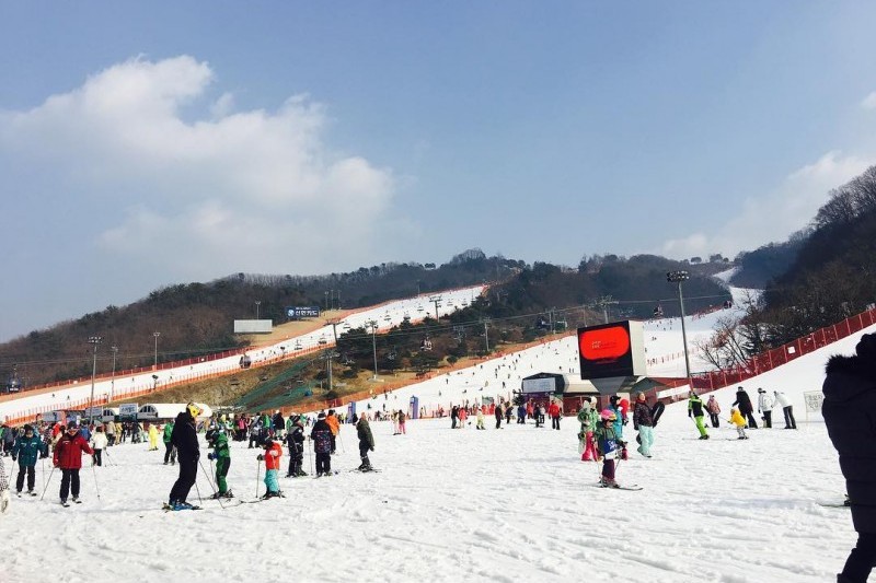 大明維瓦爾第公園滑雪世界 (15/20)