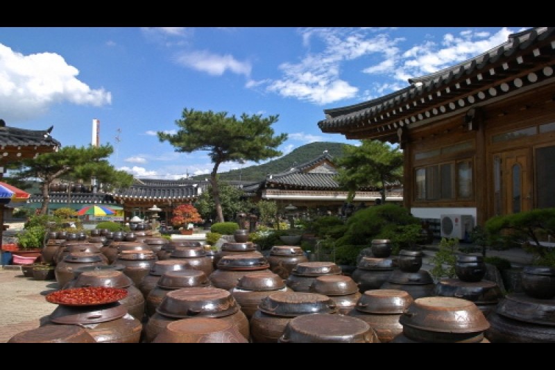 淳昌醬類體驗館 (1/9)