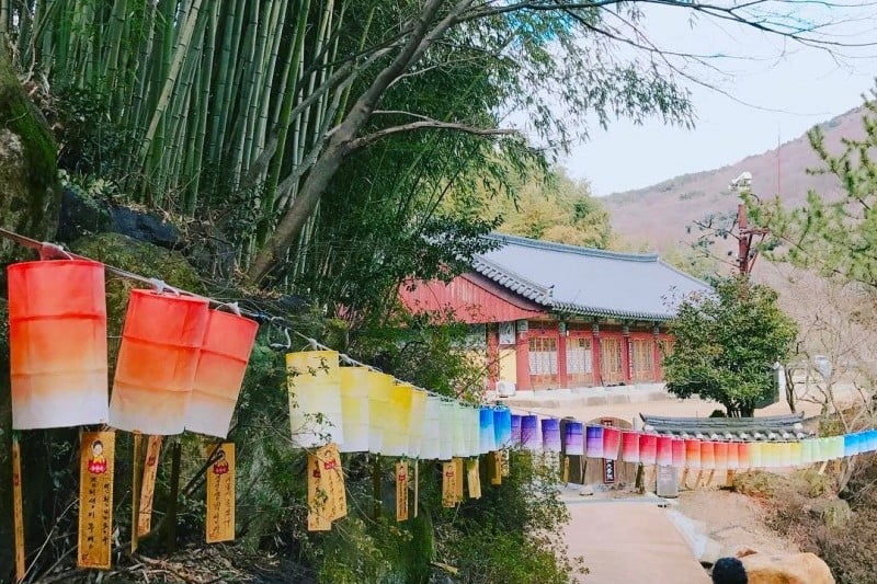 梵魚寺山寺體驗 (3/7)