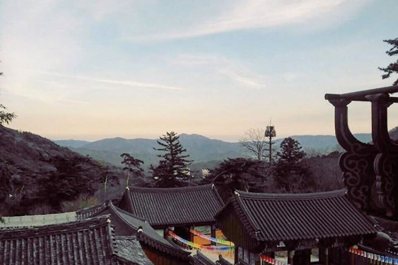梵魚寺山寺體驗 (4/7)