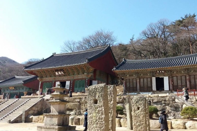 梵魚寺山寺體驗 (5/7)